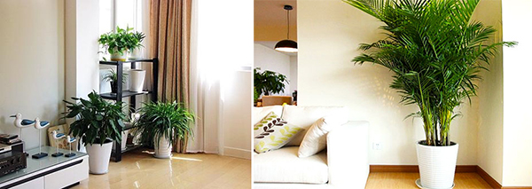 北京舒特通州保潔:新房開荒+去甲醛雙管齊下業主打造安心家